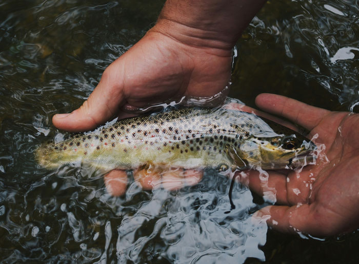 Fishing-at-The-Waie-Inn-Devon